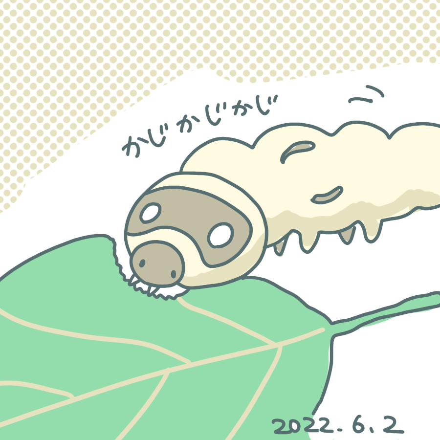 20220602.png