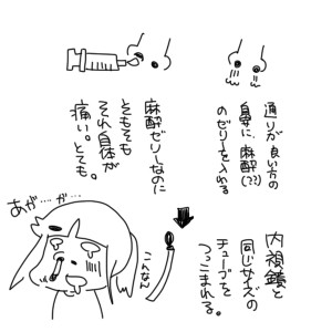 2019033001