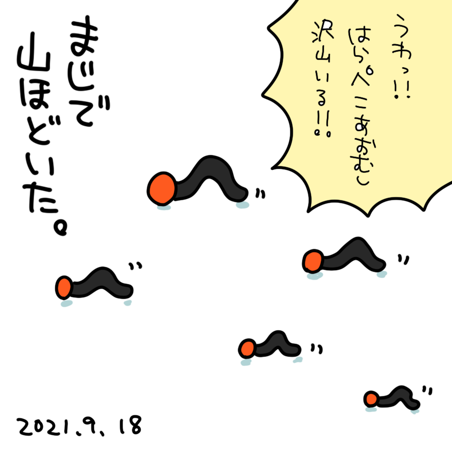 20210918.png