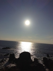 tojinbo