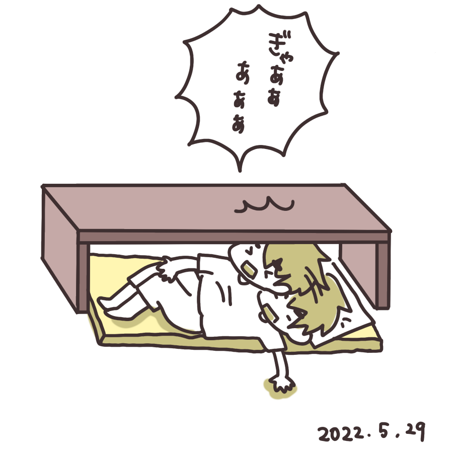 20220529.png