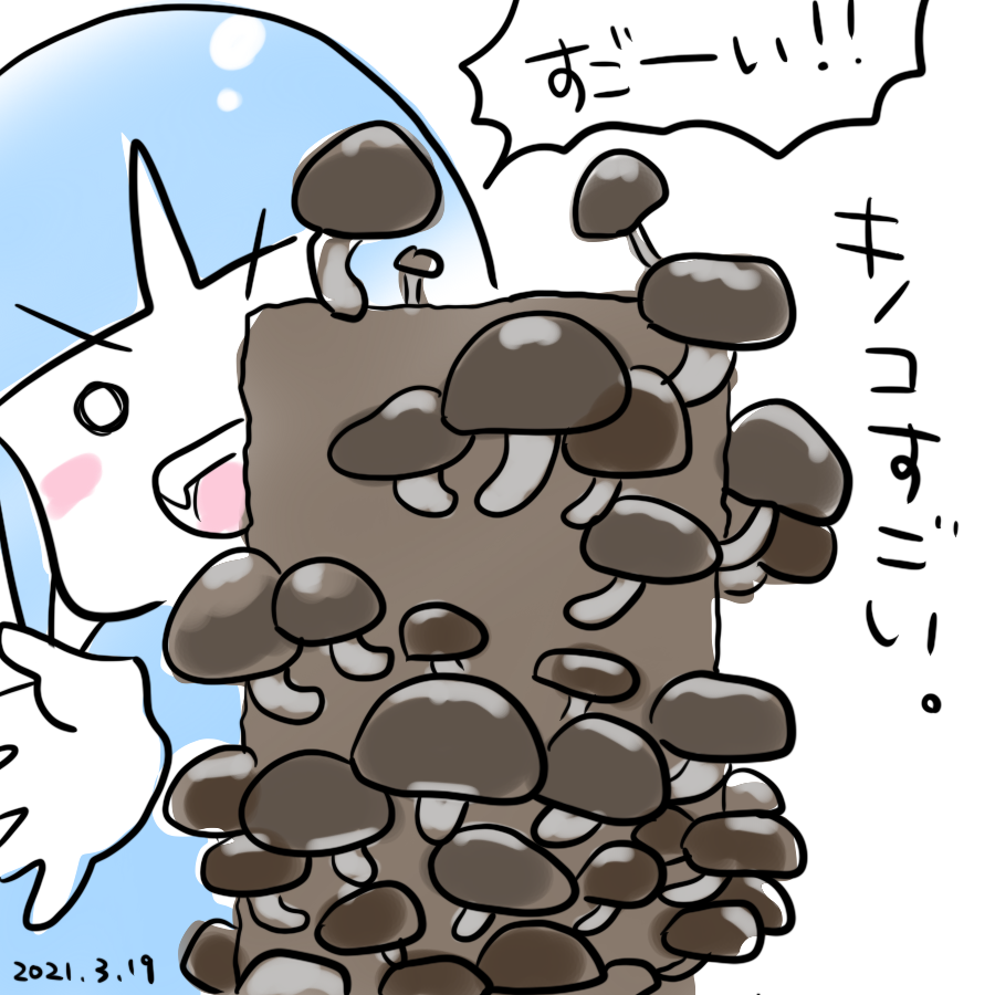 20210319.png