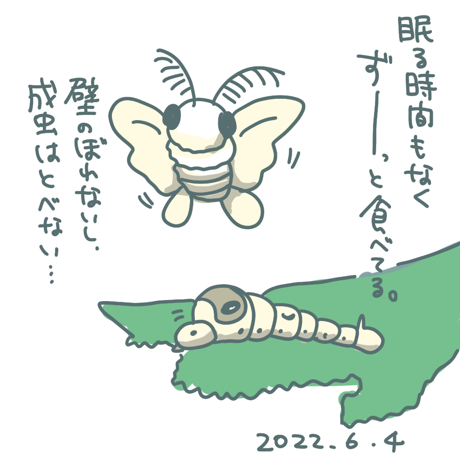 20220604.png